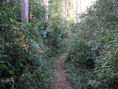 20181009hike (329)